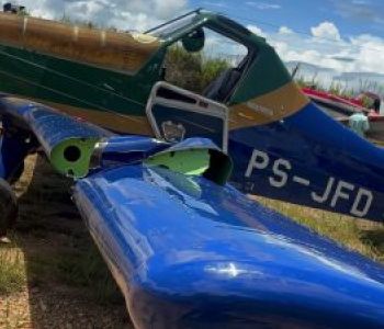 Avião de pequeno porte bate em árvore ao tentar desviar de cachorros em Colorado